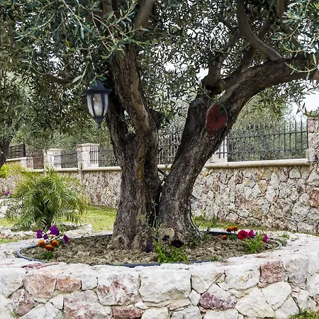 Village View